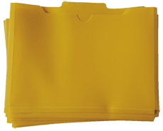 Learn more aboutLLI Gold Lesson Folders (10 pack)