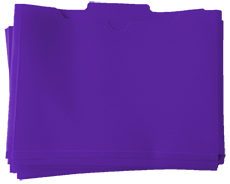 Learn more aboutLLI Purple Lesson Folders (10 pack)