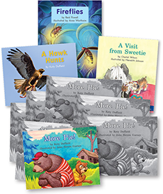 LLI Green Grade 1 (Take-Home Book Package) 2ed